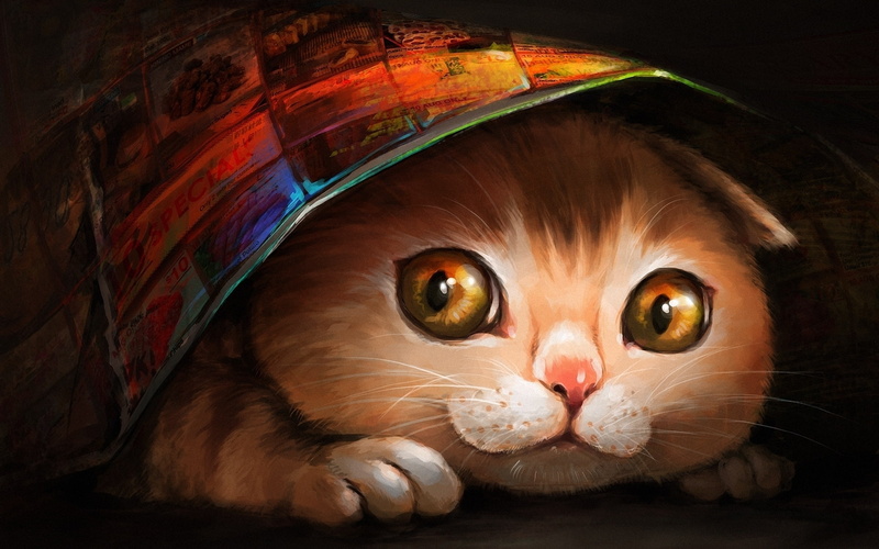 cat, oil painting, lovely, paint, painting, background, 1080P