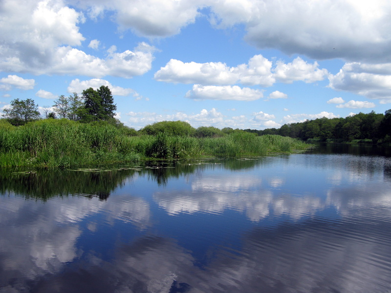 frederick trench, water landscape, water, reflection, growth, day, tree, sky, non-urban scene, cloud - sky, east prussia, plant, reflection lake, outdoors