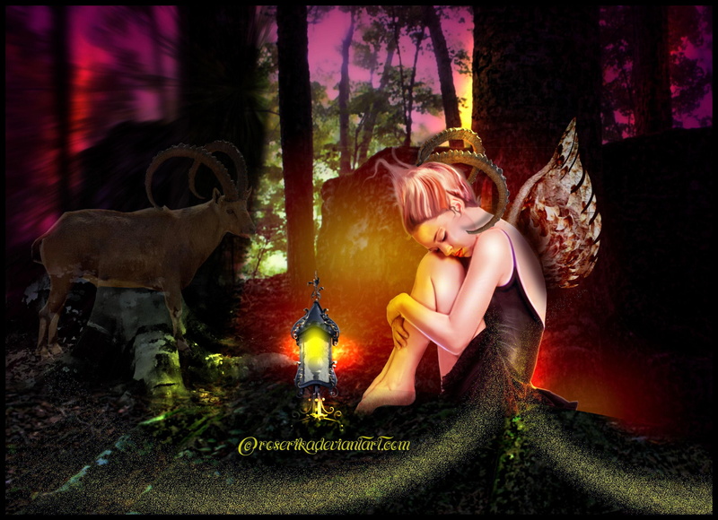 fireflies, princess, birds, plants, cute, colors, cool, wild, woods, 1080P, love, fantasy, angels, grasses, prusse, prussia