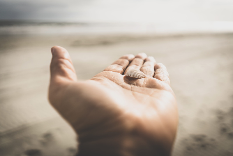 human limb, one person, white, sky, seashell, near, body part, beach, selective focus, nature, land, sea, landscape, day, water, human, hand, clamshell