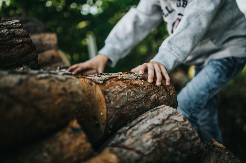 day, people, Young boy, rock, wood - material, tree trunk, garden, one Person, rock - object, hand, selective focus, young, focus on foreground, outdoors