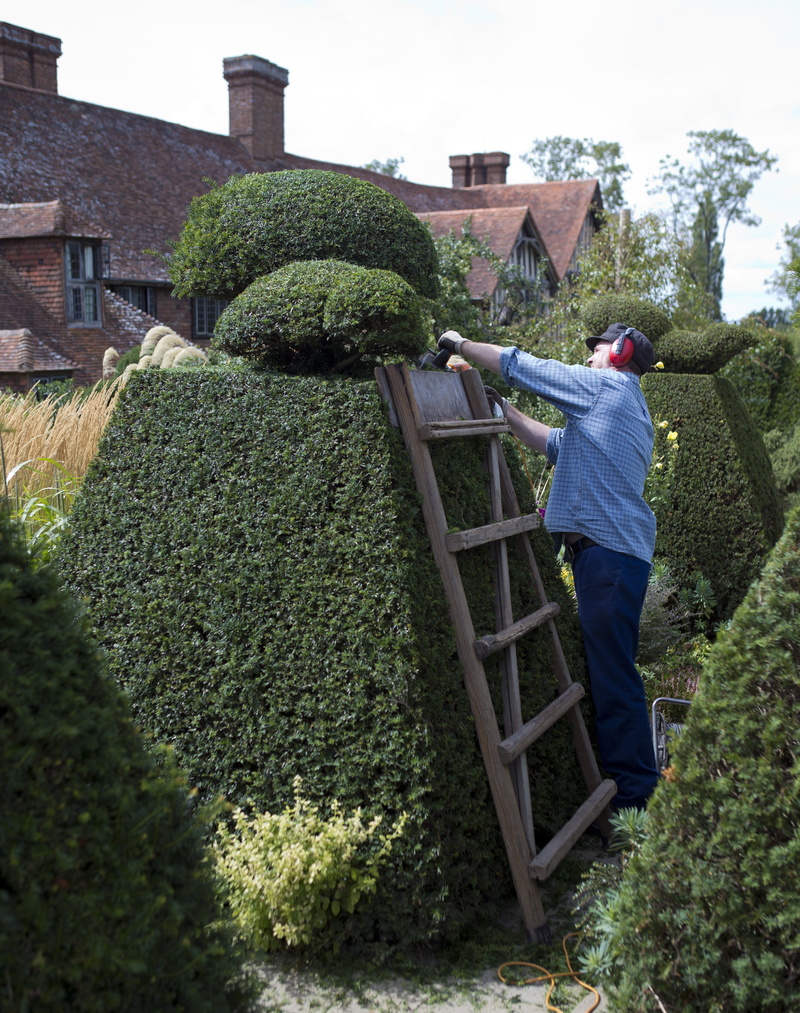 spraying, building, growth, nature, uk, great dixter, day, 4K, occupation, building exterior, architecture, gardening, east sussex, casual clothing, built structure