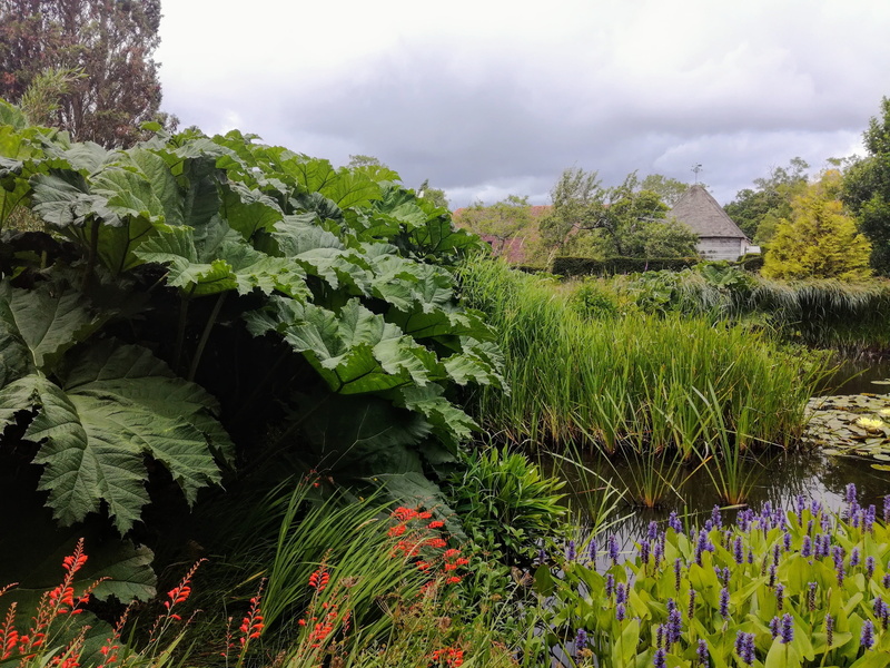 growth, nature, beauty in nature, tranquility, sky, cloud - sky, east sussex, garden, scenics - nature, water, pond, flower, northiam, outdoors, tree, plant