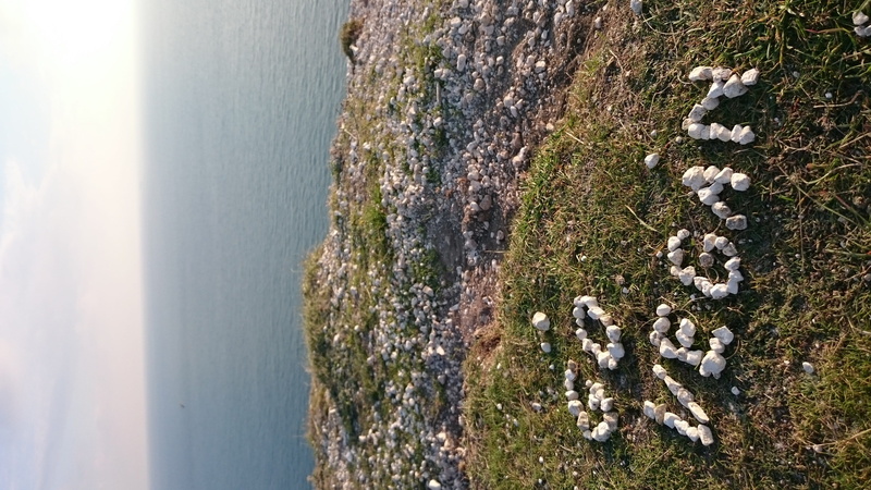 no people, 4K, water, british seaside, day, tranquil scene, land, beach, seven sisters cliffs, sea, animal themes, horizon over water, beauty in nature