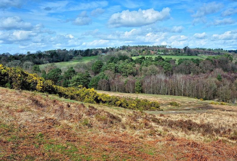 East Sussex, landscape, 2K, the countryside