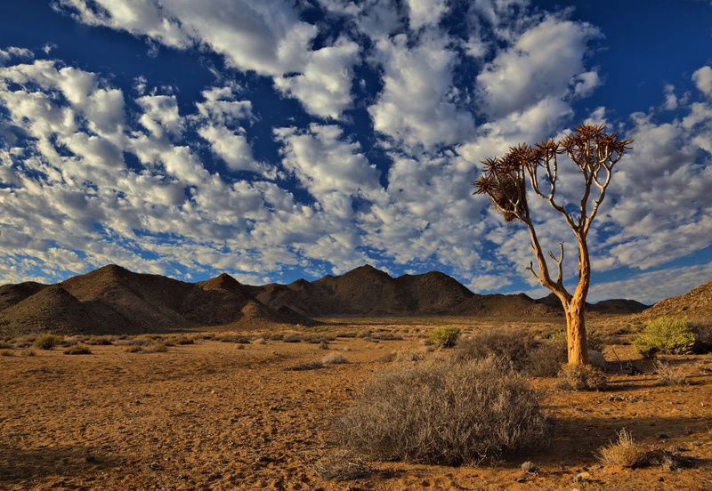 clouds, desert, hot, environment, cloud - sky, outdoors, tranquil scene, arid climate, dry, tranquility, no people, land, remote, mountain, brown, landscape