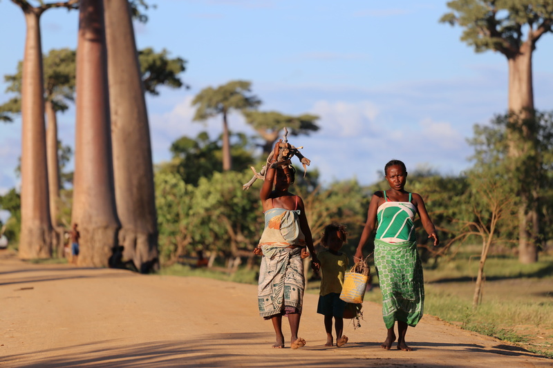 poverty, full length, 5K, portrait, women, adult, day, life, wearing, outdoors, near, madagascar, focus on foreground, work, child, palm tree, woman, dirt road