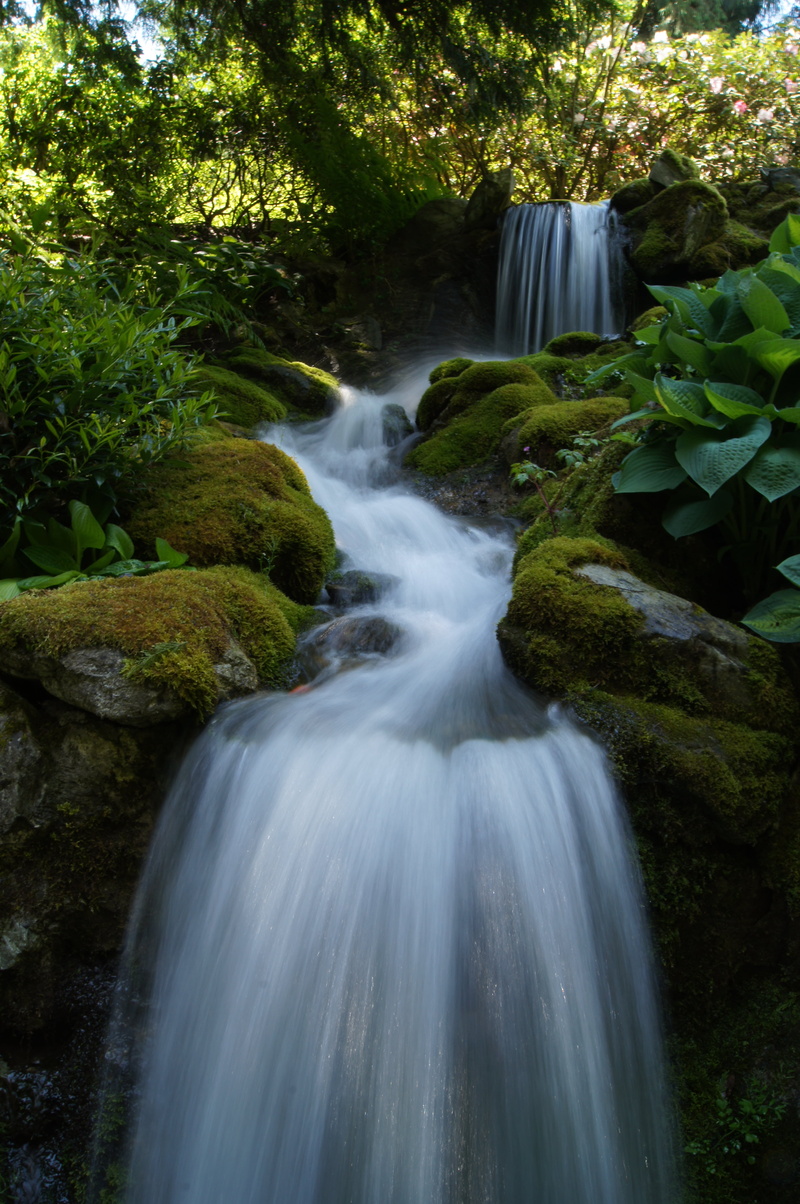 scenics, beautiful, water, leaved, colour, green, Sony A55, international, green Color, Gardens, waterfall, tropical Rainforest, leaf, plants, me, beauty In Nature