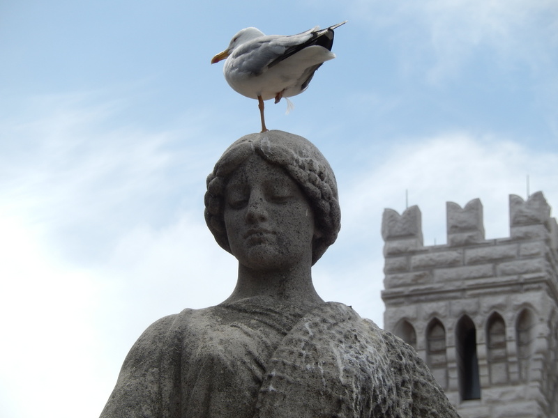 sculpture, sky, 4K, monte carlo, travel destinations, day, art and craft, monaco, seagull, built structure, building exterior, statue, bird, male likeness