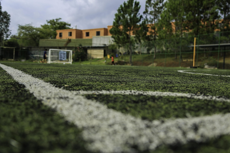 playing field, green Color, agriculture, white, building exterior, plant, building, residential district, outdoors, field, incidental people, architecture