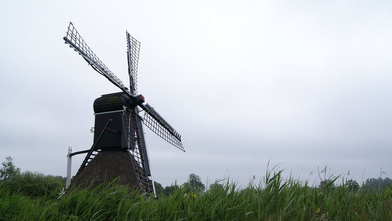 environment, sky, field, day, renewable energy, mill blades, netherlands, windmill, plant, wind power, wind turbine, wind, wind mill, outdoors, rural scene