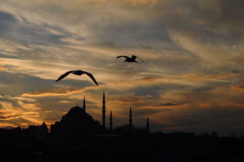 mid-air, dome, sunset, sky, marine, animal wildlife, istanbul, silhouette, landscape, birds, animals in the wild, beauty in nature, architecture, animal