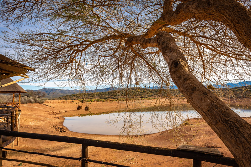 travel, tranquility, camp, lake, tree, africa, tranquil scene, nest, fence, trunk, weaver birds, relax, beauty in nature, 5K, sand, safari, scenics - nature