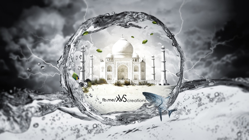 cloud - sky, animal, close-up, sky, screenshot, outdoors, mosque, digital art, animal themes, 1080P, glass - material, built structure, leaves, storm