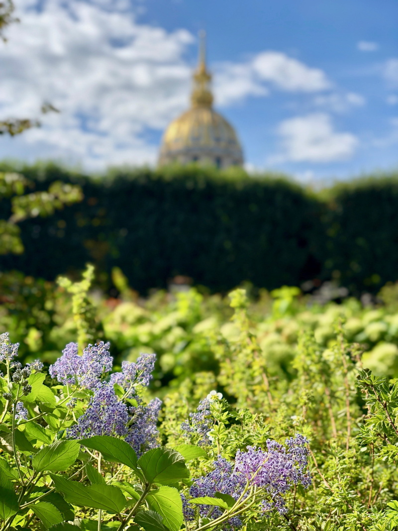 green color, outdoors, freshness, no people, flower, rodin museum, built structure, day, focus on foreground, bokeh, napoleon, selective focus, purple