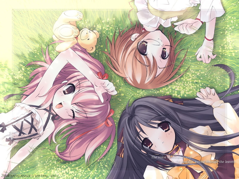 Sui (Komorebi ni Yureru Tamashii no Koe), Ayana Kouenji, Anime, Koharu Tachibana, Komorebi ni Yureru Tamashii no Koe, 720P