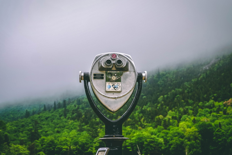 black, sight, binocular, nature, beauty in nature, plant, tree, green color, tranquility, binoculars, coin operated, forest, outdoors, scenics - nature