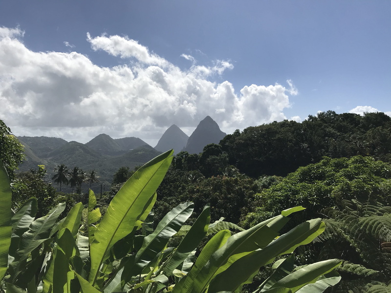Anita Denunzio, day, plant, green color, nature, growth, landscape, mountain, 4K, land, tranquility, cloud - sky, piton, scenics - nature, banana, Pitons