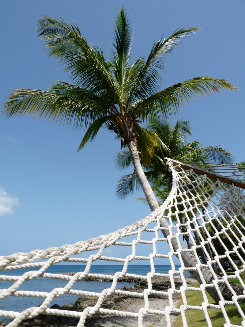 2K, no People, blue, coconut tree, water, perspective, st lucia, hammock, pattern, relaxing, low angle view, palm Tree, beach, vacation, trunk, clear sky