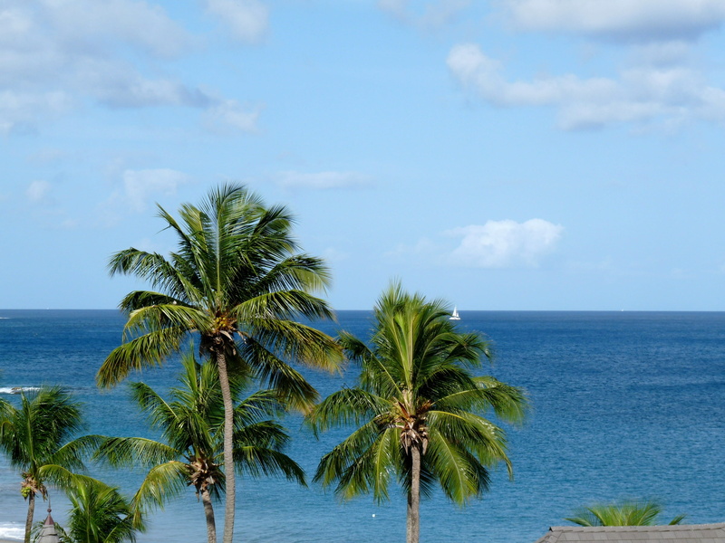 horizon over water, island, Caribbean, beauty in nature, blue, Holiday, scenics, outdoors, tranquil scene, summer, beach, day, plant, palm leaf, turquoise colored