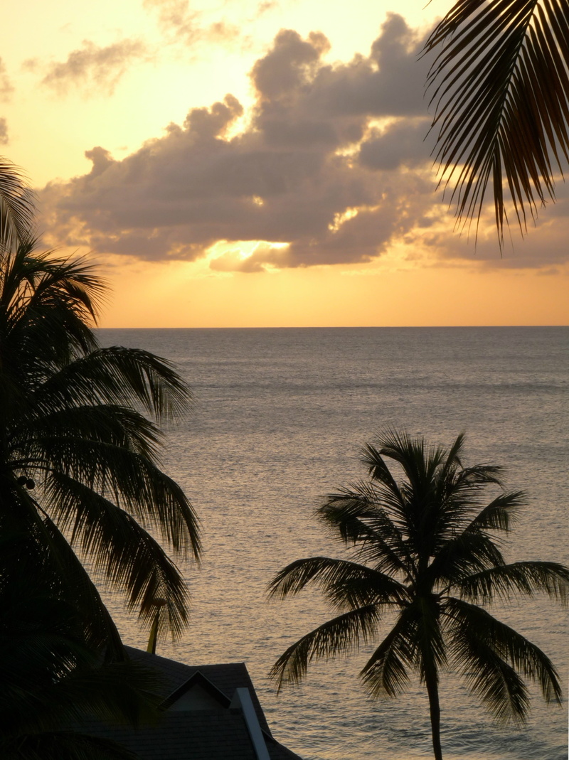 water, body, coconut, sea, horizon, tropical Climate, coastline, vacation, resort, beach, tranquil scene, near, scenics - nature, palm, caribbean, tropics