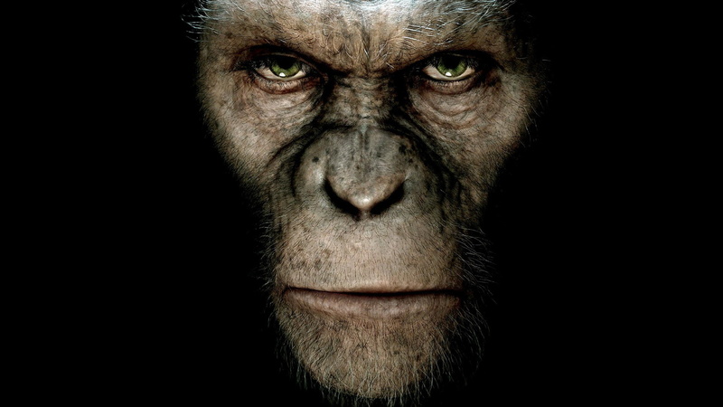 1080P, Rise Of The Planet Of The Apes, Movie