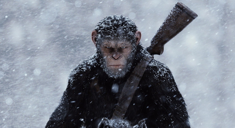 2017, blizzard, day, extreme weather, rise, portrait, war for the planet of the apes, wet, 1080P, Movies, planet, real people, apes, focus on foreground