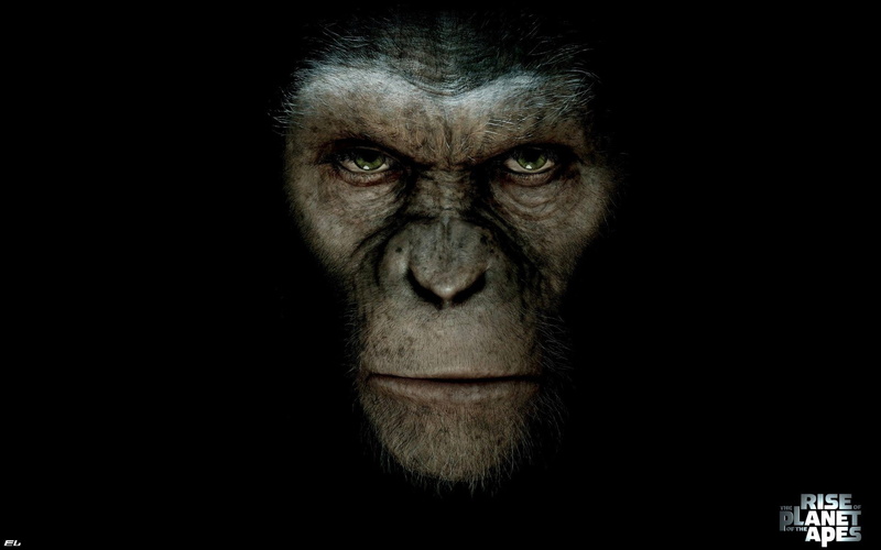 1080P, rise, cezar, apes, planet, monkeys, movies