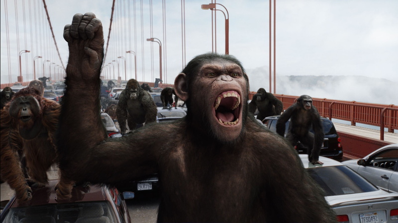 front view, 1080P, shouting, anger, bizarre, ape, sky, primate, people, day, mouth open, rise of the planet of the apes, transportation, mammal, looking at camera