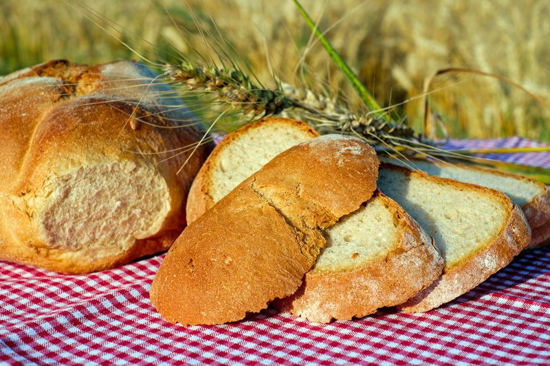 picnic, whole Wheat, agriculture, organic, Bread, Farmer, crispy, textile, freshness, baked bread, frisch, bakery, bread crust, cereal Plant, wheat, Loaf