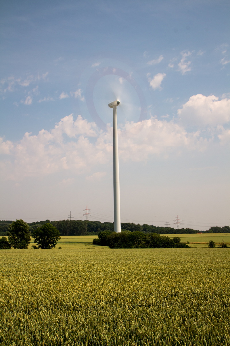 sky, environment, rye field, current, scenics - nature, outdoors, lighting, landscape, blue, rural scene, propeller, clouds, harvest, green color, plant