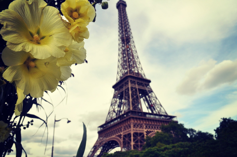 europe, flower, sky, near, paris, france, fragility, spire, green, tourism, eiffel, architecture, history, places of interest, love, city, tree, tower