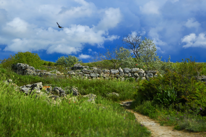 cloud - sky, city, flying, land, stone, architecture, grass, hersonissos, sky, historical, beach, old town, culture, vertebrate, tree, freshness, view