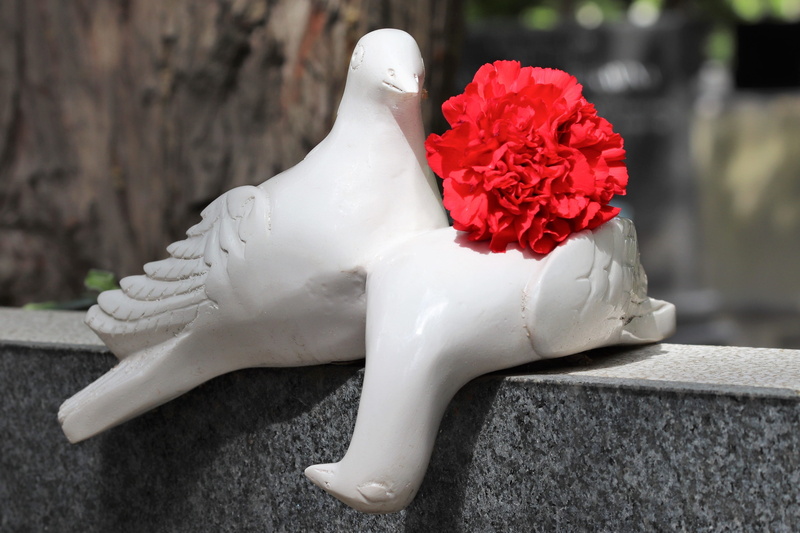 beauty in nature, 4K, gravestone, inflorescence, creativity, sculpture, focus on foreground, close-up, red carnation, white doves, no people, flower, decoration