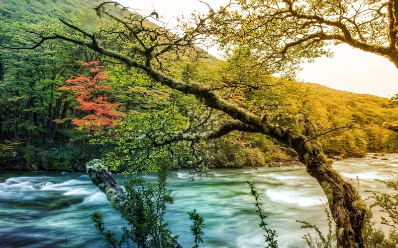 hdr pics, hdr background, hdr poster, landscape, beautiful, hi res hdr, 2K, hdr landscape, spring, hdr
