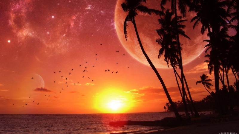art, hd, trees, beach, nature, 1080P, palm, sunset, ocean, oceans, x, moon