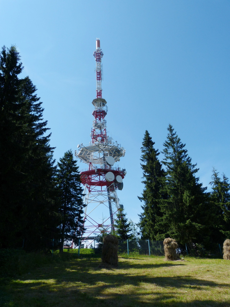 no people, blue, day, land, radio, tall - high, global communications, tree, sky, meadow, built structure, outdoors, clear sky, technology, mobile, nature