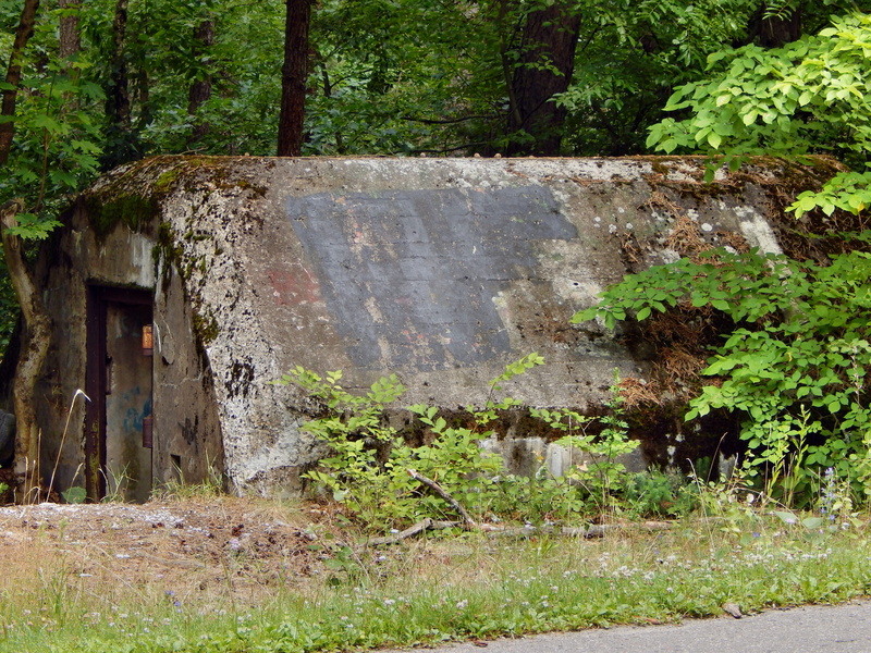 defense, ruined, old, 4K, weathered, architecture, deterioration, built structure, land, bunker, no people, tree, nature, fortification, damaged, fort
