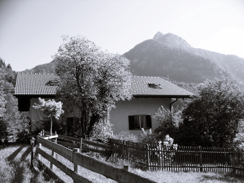 snowing, schnelzlreuth, barrier, cold temperature, alpine hiking, day, black and white photography, sky, railing, snow, plant, outdoors, winter, house