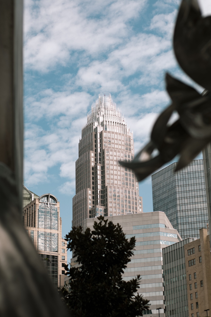 tree, human, sky, cityscape, office, bank of america, travel destinations, plant, downtown, architecture, building exterior, charlotte, skyscraper, 5K