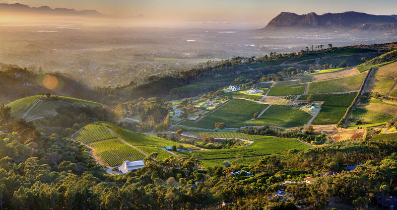 aerial view, hd, px, aerial, Vineyard, sports, cape, x, mountains, view, art, town, 4K, Constantia, cape town, 4463x2362 px