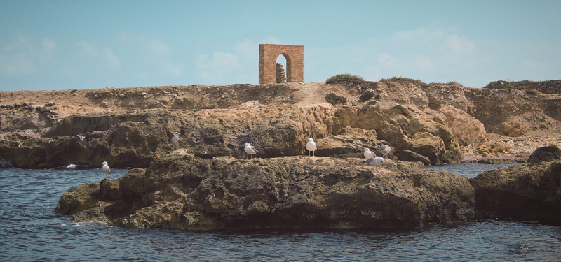 animal, ground, outdoors, the past, sea, sky, tourism, tunisia, mahdia, history, ancient civilization, no people, bunker, built structure, ruins, water