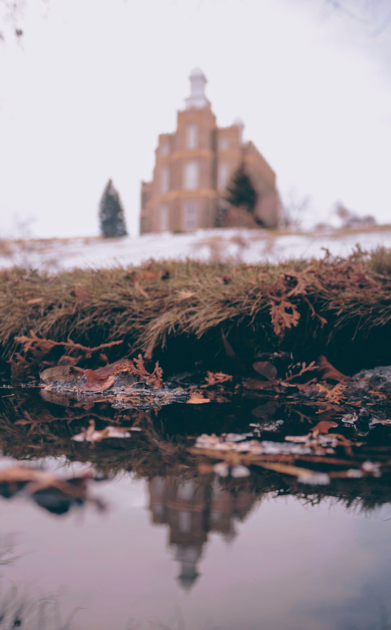 religion, no people, history, moss, leaf, architecture, plant, ground, the past, soil, ditch, land, hole, nature, bunker, surface level, selective focus