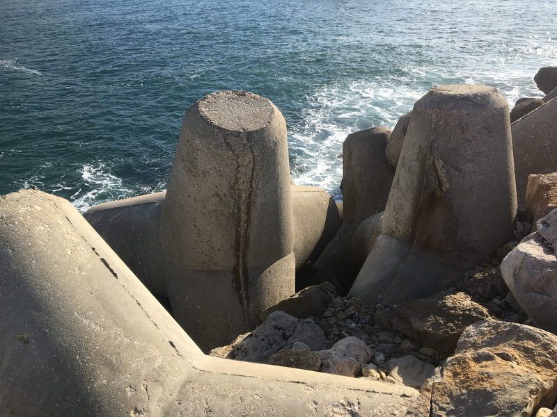 ground, av. manuel remígio 8, tranquility, archaeology, rock - object, sea, animals in the wild, day, land, outdoors, nazaré, promontory, coast, solid