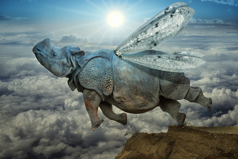 sky, art and craft, sculpture, no people, Wings, 1080P, animal representation, outdoors, animal themes, Icarus, sunlight, nature, lens flare, one animal