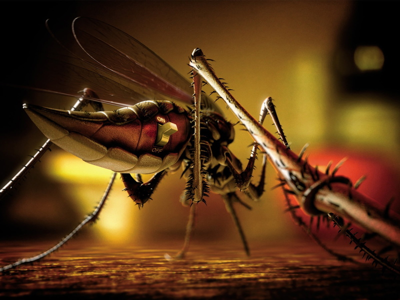 animal body part, one animal, focus on foreground, machine, nature, animal themes, day, studio shot, Fly, animal wildlife, no people, macro, dragonfly