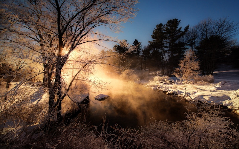 cold, winter, scenics - nature, shrubs, nature, tree, morning, forest, plant, mist, non-urban scene, tranquility, river, sunlight, land, beauty in nature