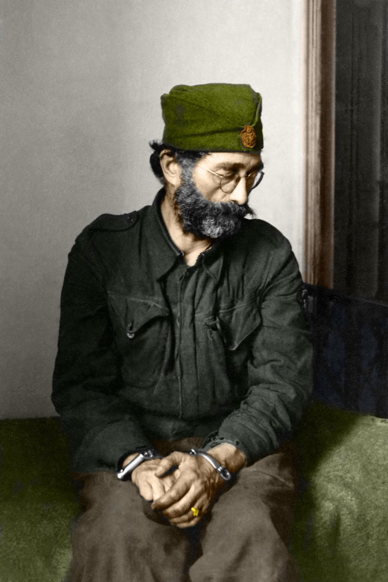 clothing, beard, front view, colorized photos, historic, mid adult, holding, casual clothing, men with glasses, adult, Dragoljub Draža Mihailović, hat