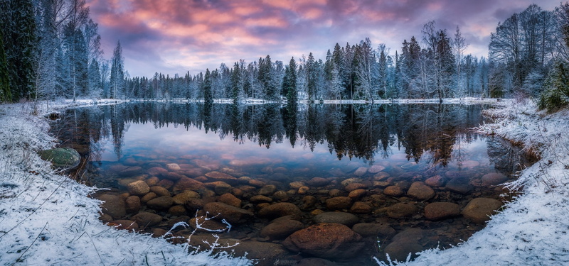 1080P, Finland, forest, lake, cold, trees, nature, landscape, reflection, water, morning, winter, snow