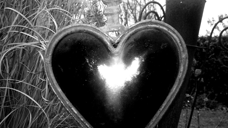 wall - building feature, container, communication, glas, metal, buntglas, shiny, schwarz weiss, love, nature, 2K, close-up, positive emotion, heart shape